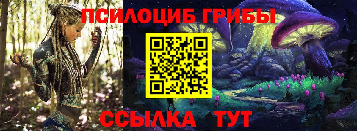 Анжеро-Судженск  Псилоцибиновые грибы ЛСД  Вход с VPN 